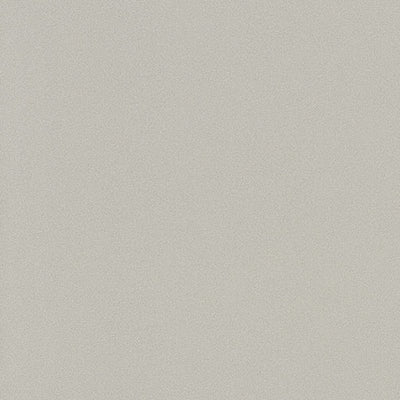 東リクロスPOWER1000フィルム抗菌汚れ防止・スーパーハードタイプ「エバール」WVP4463の商品画像