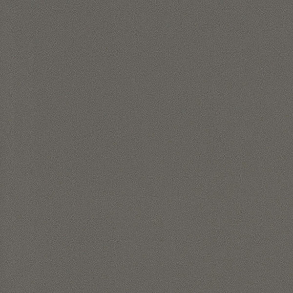 東リクロスPOWER1000フィルム抗菌汚れ防止・スーパーハードタイプ「エバール」WVP4464の商品画像