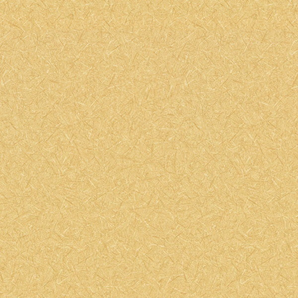 東リクロスPOWER1000フィルム抗菌汚れ防止・スーパーハードタイプ「エバール」WVP4472の商品画像