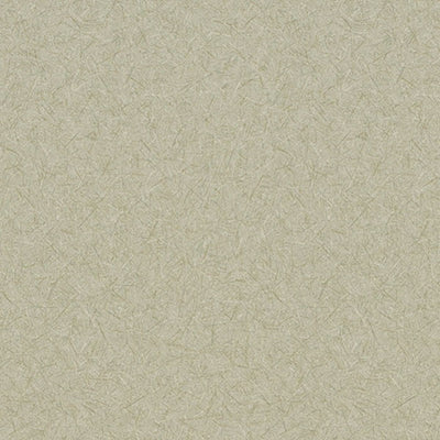 東リクロスPOWER1000フィルム抗菌汚れ防止・スーパーハードタイプ「エバール」WVP4474の商品画像