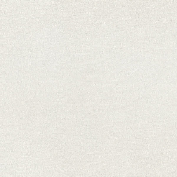 東リクロスPOWER1000フィルム抗菌汚れ防止・消臭「ファンクレア(R)」WVP4479の商品画像