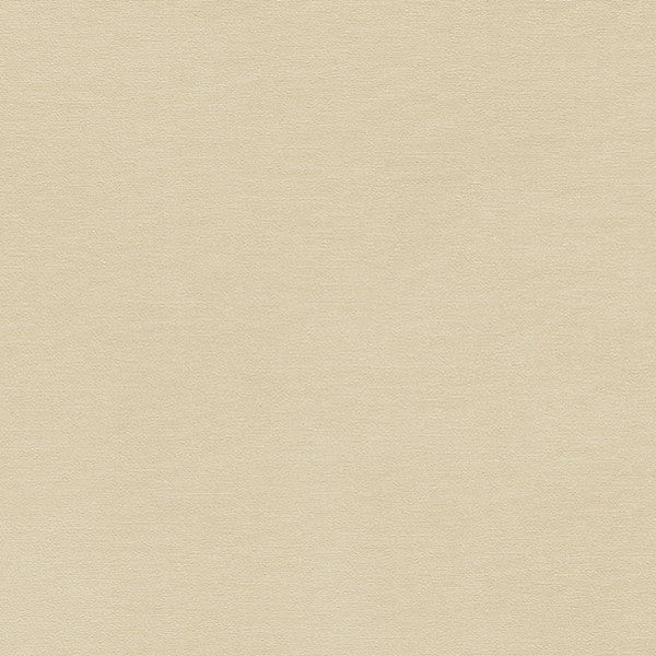 東リクロスPOWER1000フィルム抗菌汚れ防止・消臭「ファンクレア(R)」WVP4480の商品画像