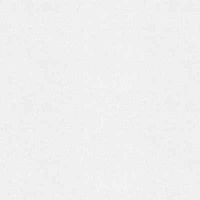 東リクロスPOWER1000フィルム抗菌汚れ防止・消臭「ファンクレア(R)」WVP4481の商品画像