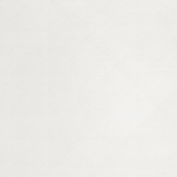 東リクロスPOWER1000フィルム抗菌汚れ防止・消臭「ファンクレア(R)」WVP4486の商品画像