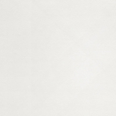 東リクロスPOWER1000フィルム抗菌汚れ防止・消臭「ファンクレア(R)」WVP4486の商品画像