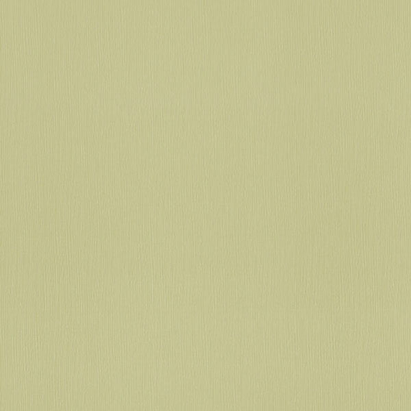 東リクロスPOWER1000フィルム抗菌汚れ防止・消臭「ファンクレア(R)」WVP4491の商品画像