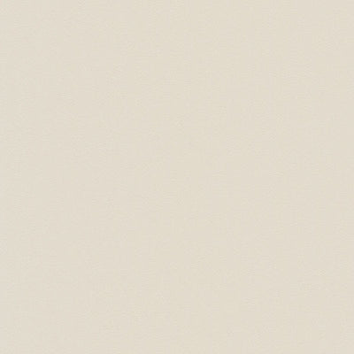 東リクロス不燃認定壁紙1000厚みのある不燃壁紙WF7045の商品画像