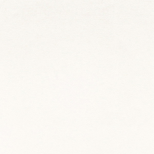 東リクロス住まいの壁紙100選ベーシックWVC825の商品画像