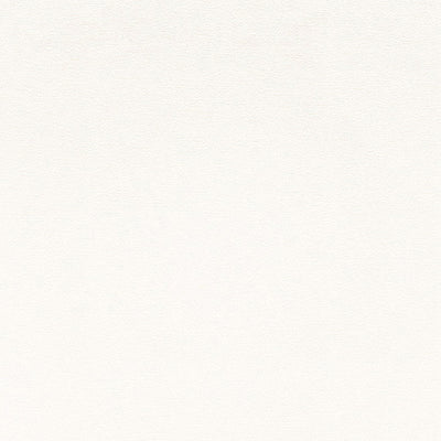 東リクロス住まいの壁紙100選ベーシックWVC825の商品画像