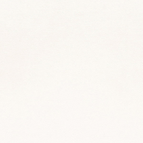 東リクロス住まいの壁紙100選ベーシックWVC830の商品画像