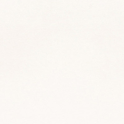 東リクロス住まいの壁紙100選ベーシックWVC830の商品画像