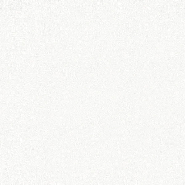 東リクロス住まいの壁紙100選ベーシックWVC829の商品画像