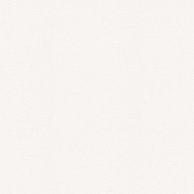 東リクロス住まいの壁紙100選ベーシックWVC826の商品画像