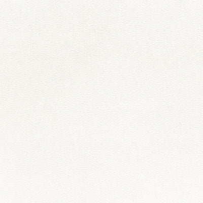 東リクロス住まいの壁紙100選ベーシックWVC831の商品画像