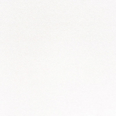 東リクロス住まいの壁紙100選ベーシックWVC807の商品画像