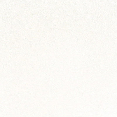 東リクロス住まいの壁紙100選ベーシックWVC824の商品画像