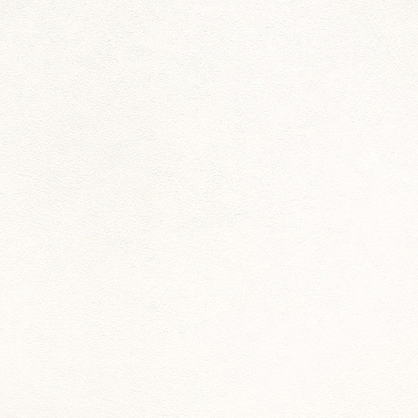 東リクロス住まいの壁紙100選ベーシックWVC853の商品画像