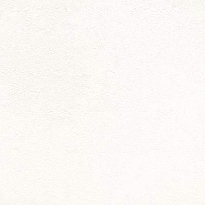 東リクロス住まいの壁紙100選ベーシックWVC853の商品画像