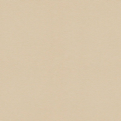 東リクロス住まいの壁紙100選和調WVC863の商品画像