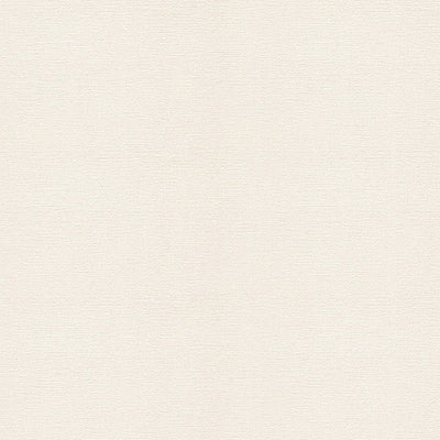 東リクロス住まいの壁紙100選汚れ防止WVC866の商品画像