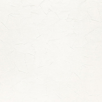 東リクロス住まいの壁紙100選汚れ防止WVC876の商品画像