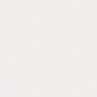 東リクロスVS抗ウイルス壁紙VS1001の所品画像