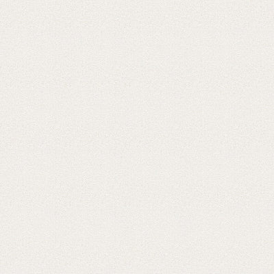 東リクロスVS抗ウイルス壁紙VS1003の所品画像