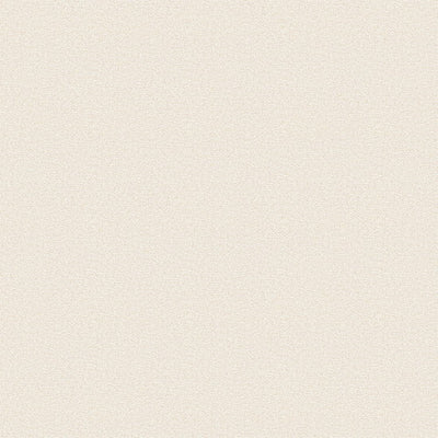 東リクロスVS抗ウイルス壁紙VS1004の所品画像