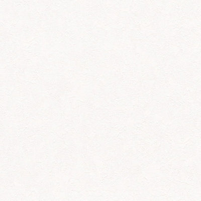 東リクロスVS抗ウイルス壁紙VS1010の所品画像