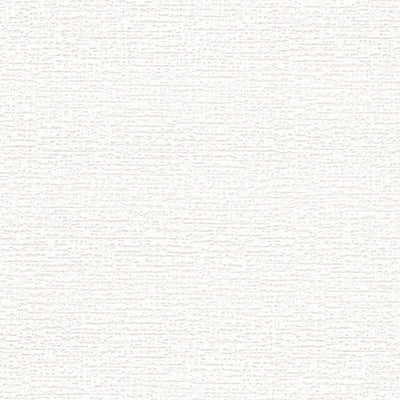 東リクロスVS天壁VS1021の所品画像