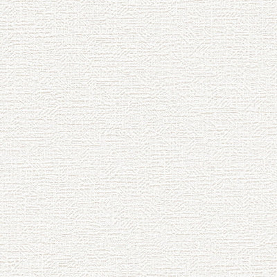 東リクロスVS天壁VS1022の所品画像