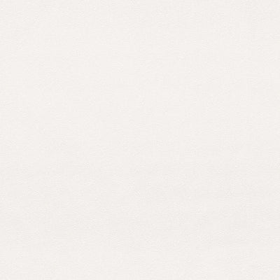 東リクロスVS石目調VS1023の所品画像