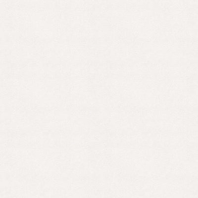 東リクロスVS石目調VS1027の所品画像