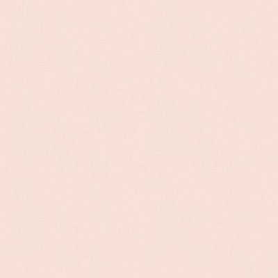 東リクロスVS石目調VS1029の所品画像