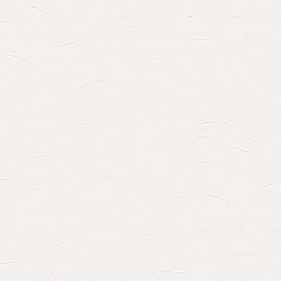 東リクロスVS石目調VS1034の所品画像