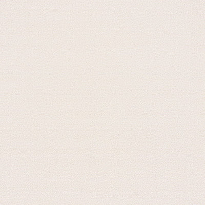 東リクロスVS織物調(長期継続品)VS8018の所品画像