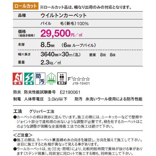 東リ ロールカーペット エトウィール4300 1m単位での購入可