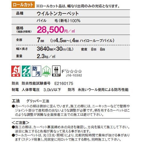 東リ ロールカーペット エトウィール5700 1m単位での購入可
