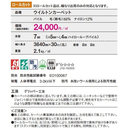 東リ ロールカーペット エトウィール6500 1m単位での購入可