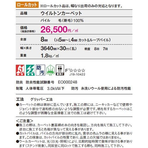 東リ ロールカーペット エトウィール9300 1m単位での購入可