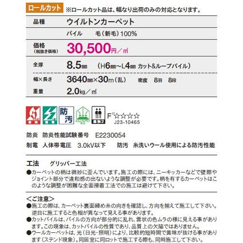 東リ ロールカーペット エトウィール9700 1m単位での購入可