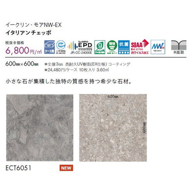 東リタイルイークリン・モアNW-EX600mm×600mmケース売り(10枚入)の画像