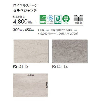 東リタイルロイヤルストーン300mm×450mm1枚単位の画像