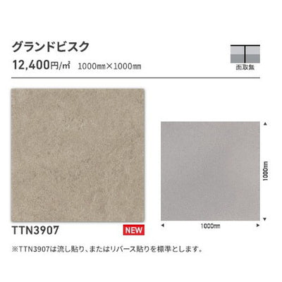 東リタイルルースレイ50NW-EX1000mm×1000mmケース売り(2枚入)の画像