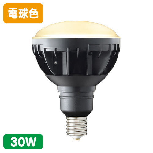 岩崎電気LDR30L-H-E39/B827