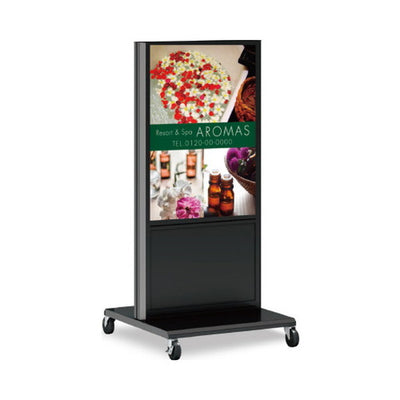 タテヤマアドバンス