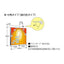 【LED投光器】【レディオック フラッド ネオ】 ECF4040M/VWSAN8/DG LED投光器 美vid 【40クラス】【中角】【白色】