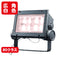 岩崎電気ECF8040W/VWSAN8/DG(旧ECF0996VW/SAN8/DG)LED投光器美vidレディオックフラッドネオ80クラス広角タイプ白色タイプ