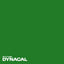 1本単位ダイナカルサインDSシリーズDS5832(グリーン)10mトーヨーケム
