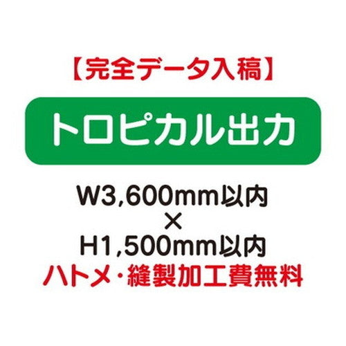 特注オーダー品トロピカル出力W3600×H1500の商品画像